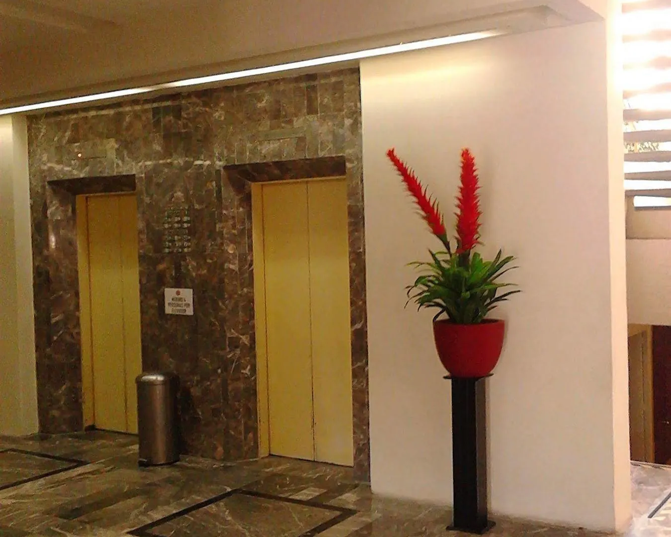 Hotel Las Pergolas Guadalajara Mexico